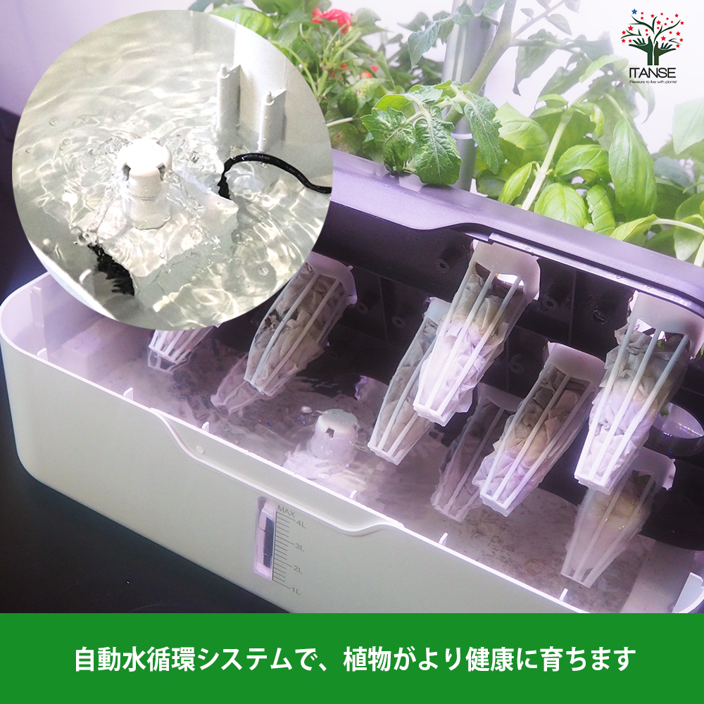 スマートインテリジェンスNFT水耕栽培プランター 水耕栽培スマートプランターライト付 種子Aセット /1個売り 育成ライト