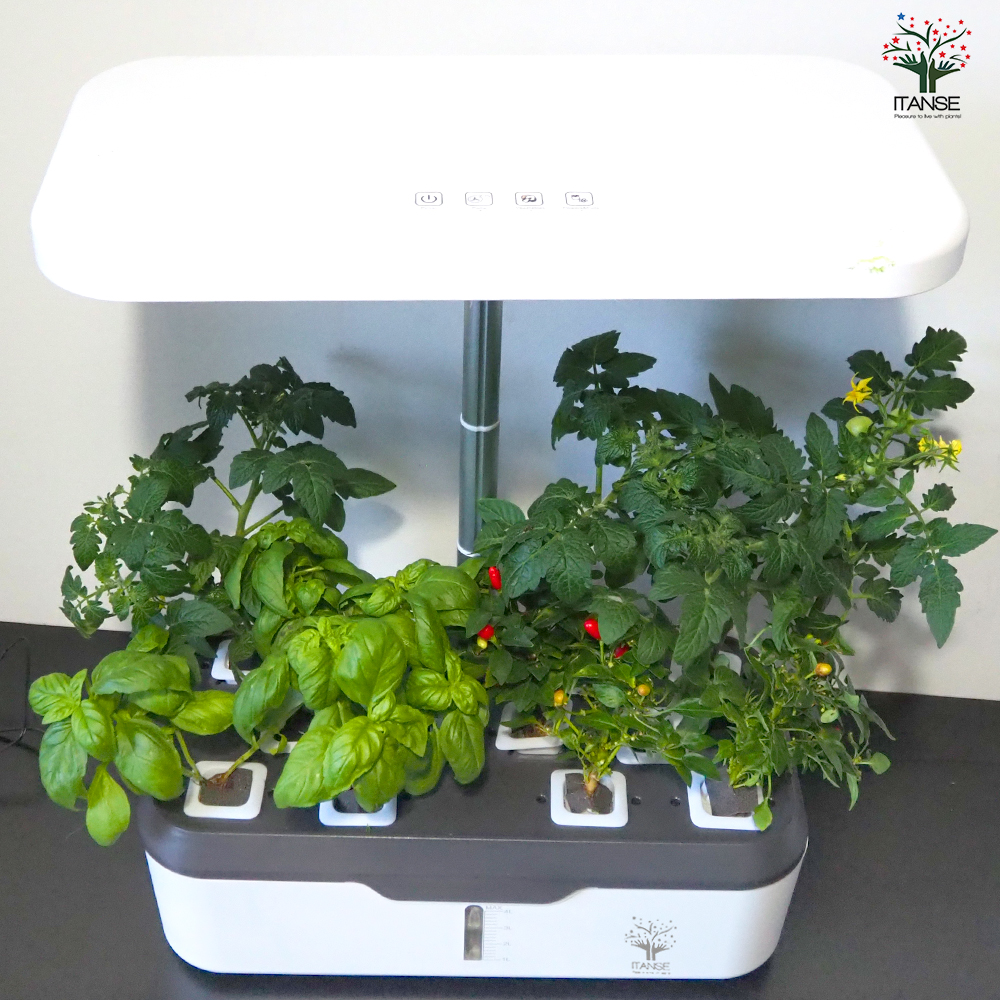 itplanter（アイティプランター） LED照明・自動給水機能付き栽培装置 itplanter（アイティプランター） LED照明・自動給水機能付き栽培装置