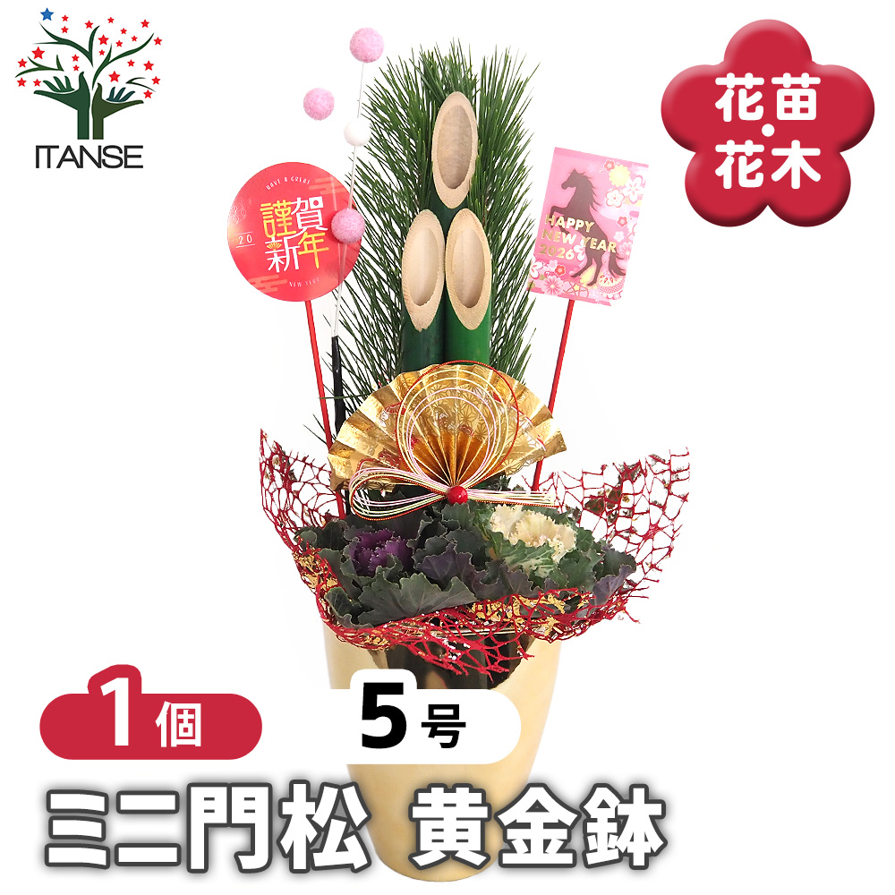 門松(かどまつ) ミニ門松 ゴールド鉢 正月飾り 5号/1個売り お正月