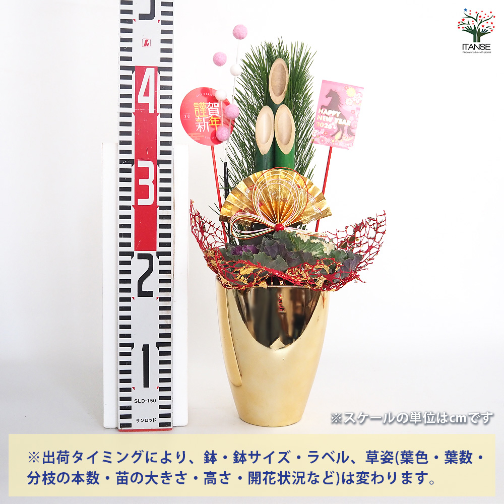 門松(かどまつ) ミニ門松 ゴールド鉢 正月飾り 5号/1個売り お正月