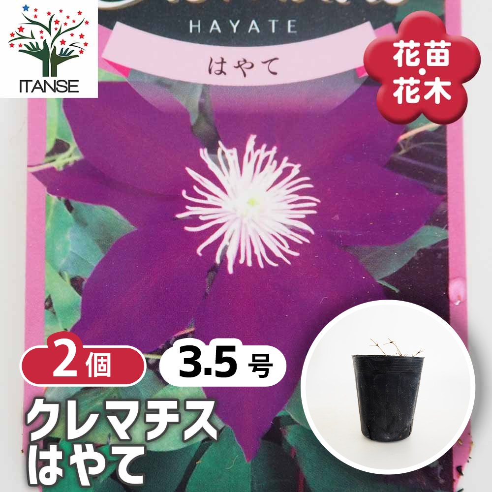 アヤハナ様　リクエスト　5点まとめ買い n様 リクエスト 3点 まとめ商品 - メルカリ