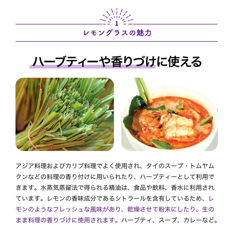 ITANSE ハーブ苗 レモングラス 9cmポット 3個セット 送料無料 イタンセ