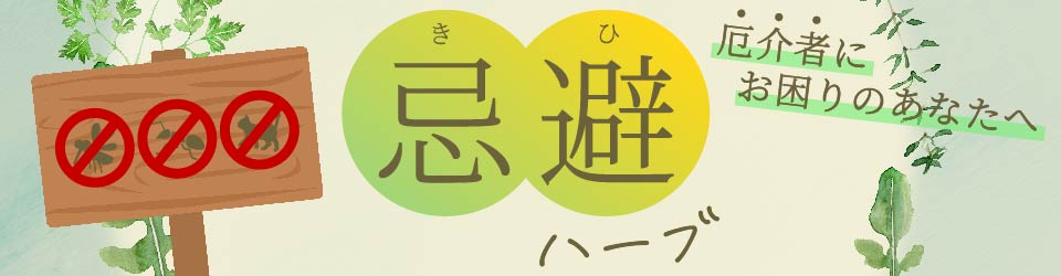忌避ハーブ