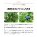 ブルーベリー ラヒ 果樹の苗木 5号/1個売り 果樹 果樹苗 果樹の苗 フルーツ 果物 ベリー 関連画像1