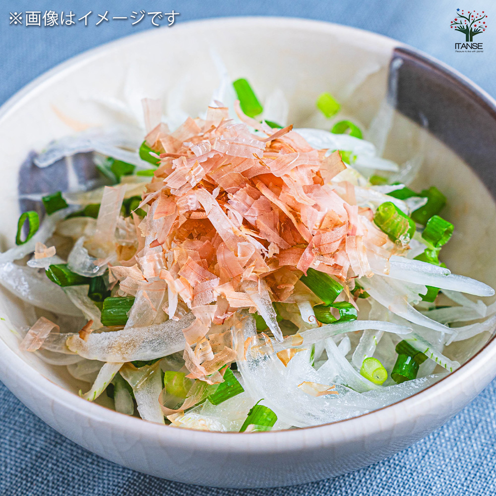 玉ねぎの苗 白玉ねぎ 野菜の苗 3.5号/1個売り ねぎ苗 ネギ 葱 玉ねぎ
