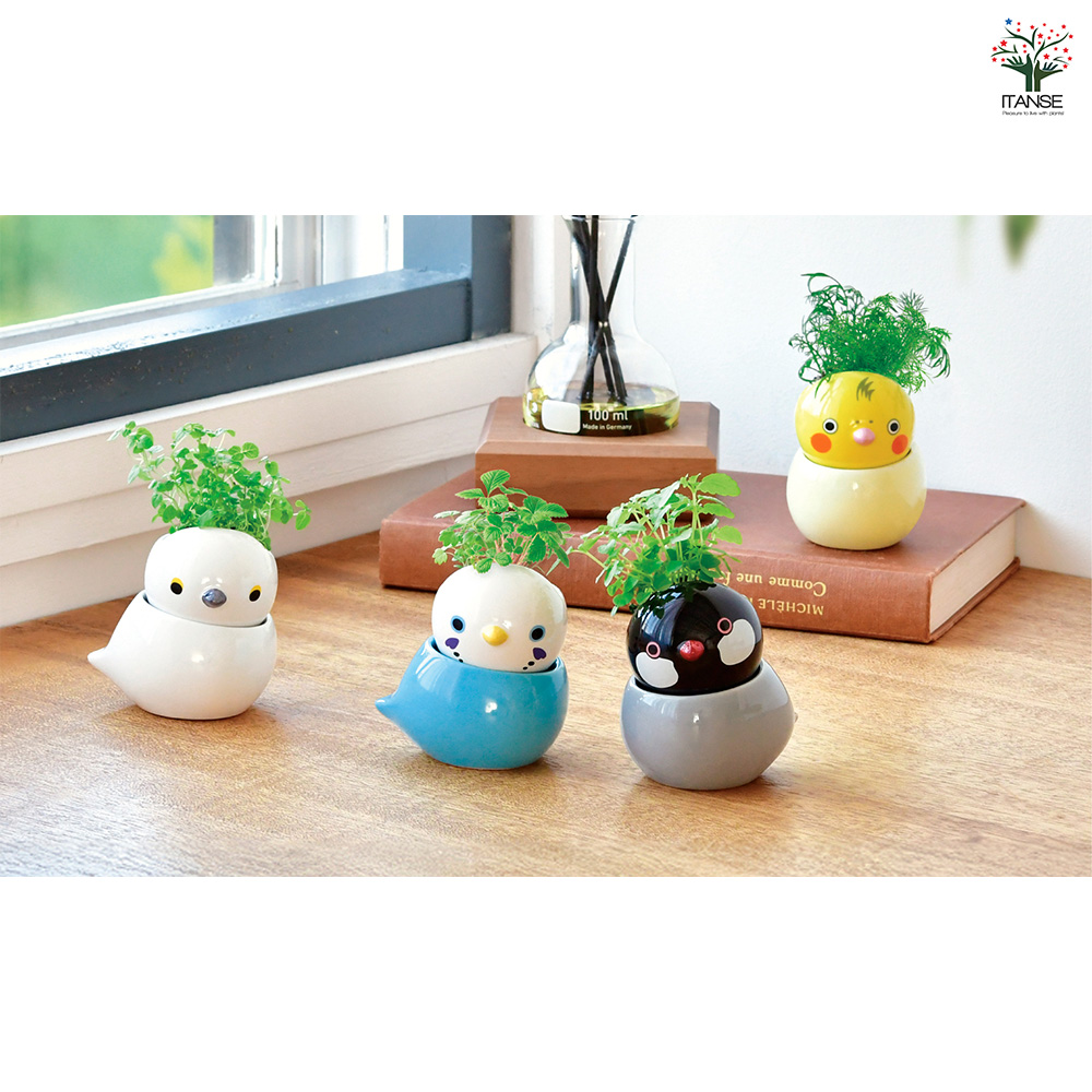 【10個お得セット】チェロ エンドピン ゴム付き 4/4-7/8サイズ 栽培セット COROCORO bird シマエナガ ミント /お買い得4個セット 簡単
