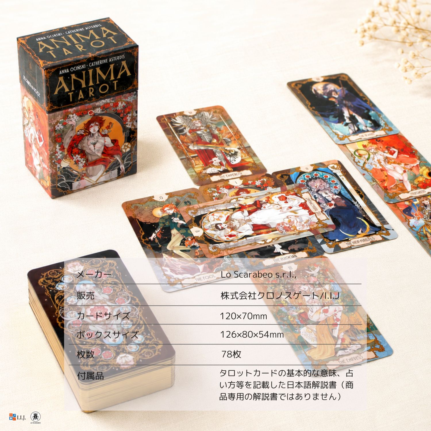 アニマ・タロット カード図版