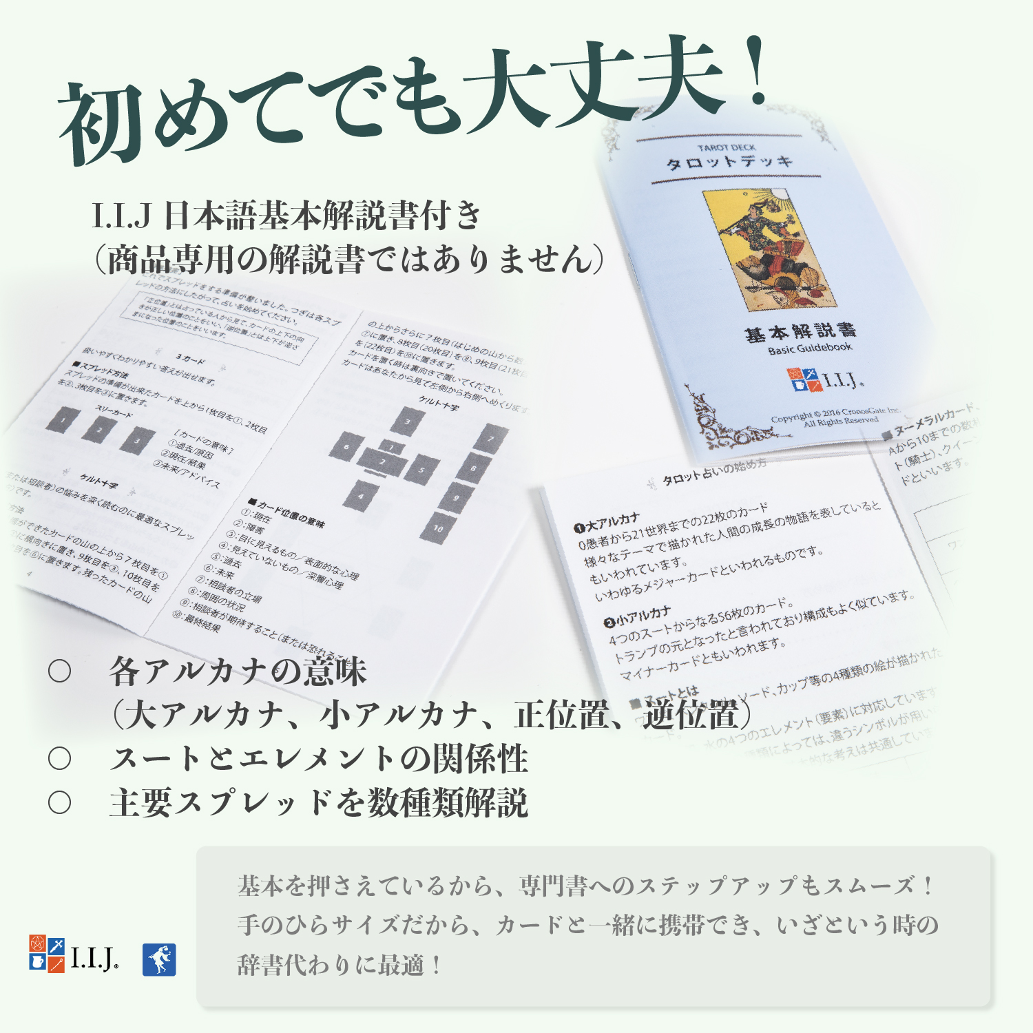 ブラック・シード タロット Black See...の詳細画像5