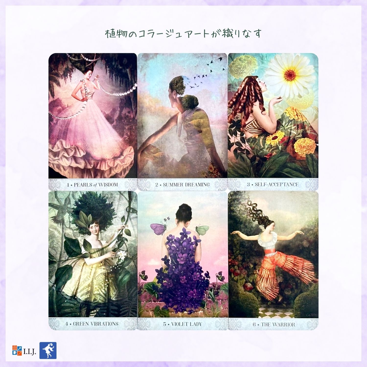 オラクルカード ６種 ６個 英語版 新品未開封 エンジェル アンサー オラクルカード 【 2023年6月新装版