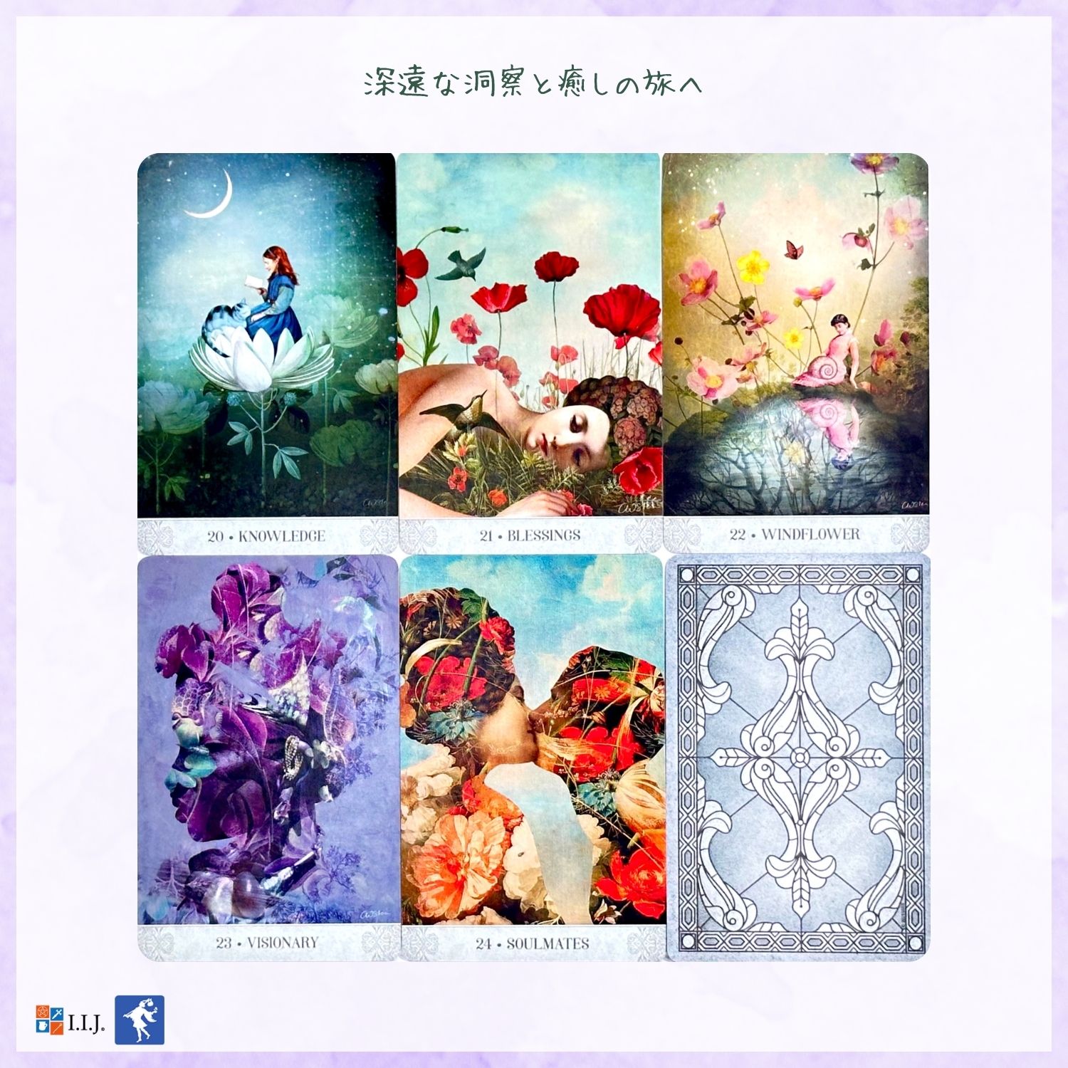 【正規品オラクルカード】神秘的な世界観✨海外入手困難品✨美しい鳥達のデッキ 正規品オラクルカード】神秘的な世界観✨海外入手困難品✨美しい