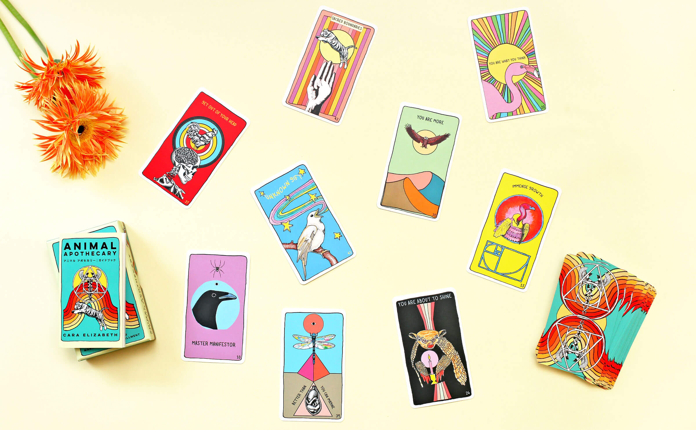 メディスン・カード Amazon.co.jp: メディスンカード/Medicine Cards 全52枚セット