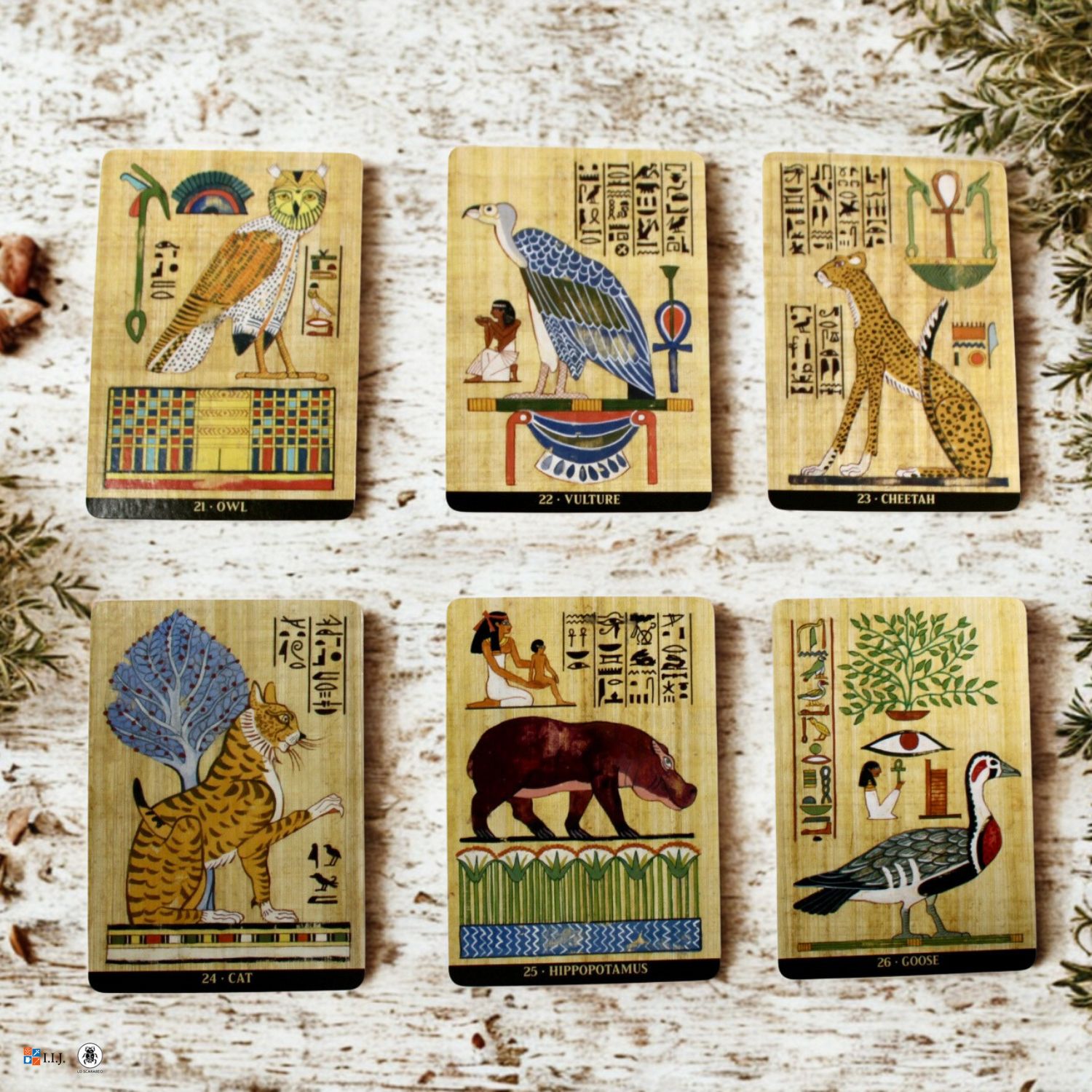 エジプシャン・セイクリッド・アニマルズ・オラクル Egyptian Sacred