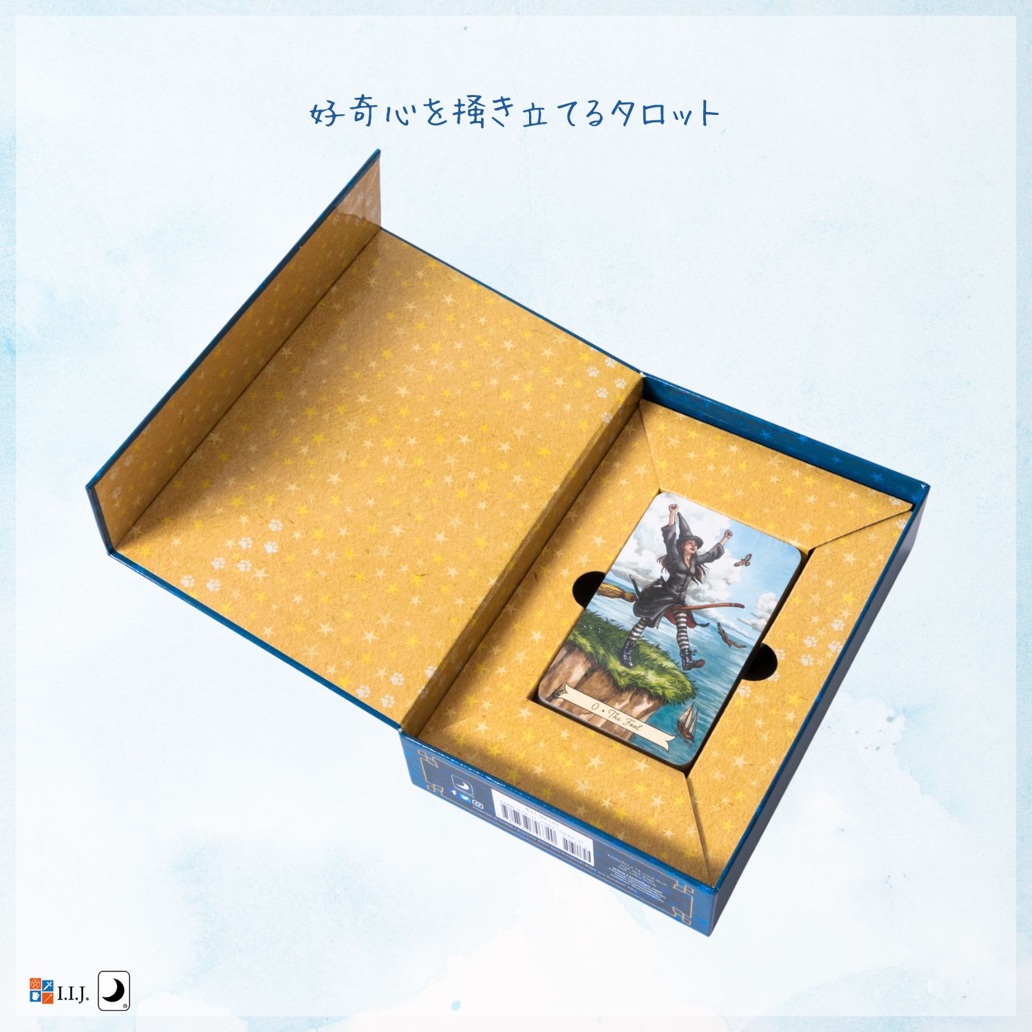 エブリデイ ウィッチ タロット Everyday Witch Tarot タロットカード