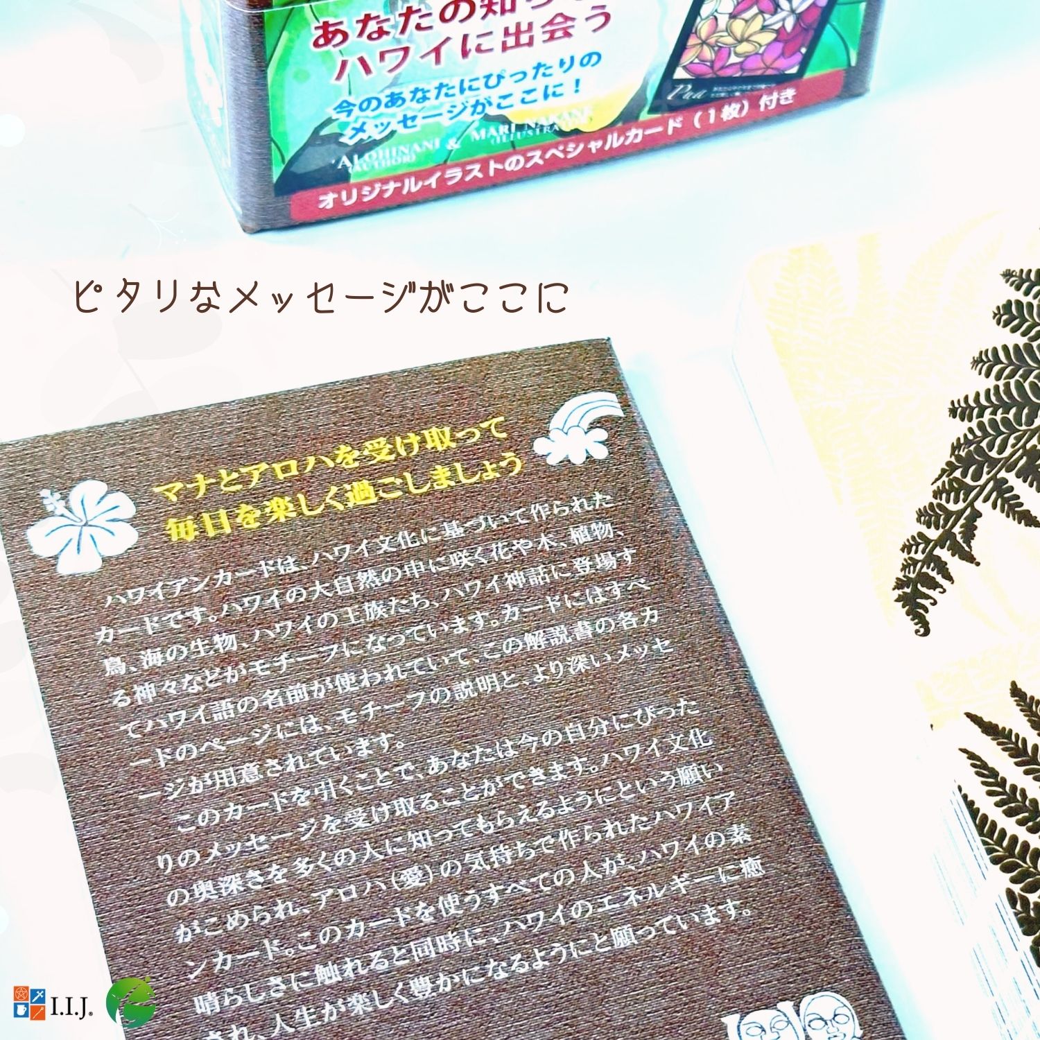 ハワイ マナカードのおすすめ人気商品一覧 通販 - Yahoo