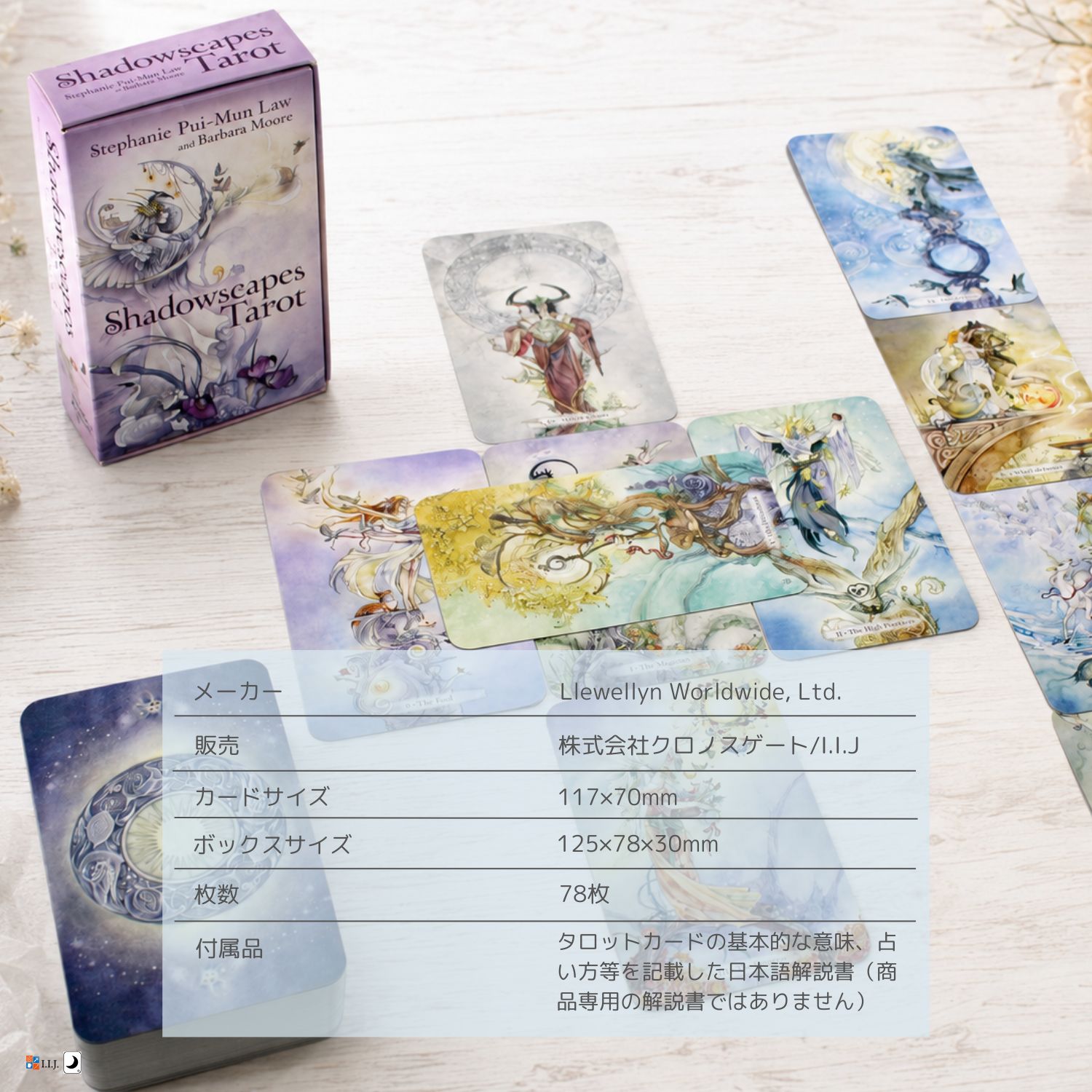 シャドウスケープ タロット デッキ Shadowscapes Tarot Deck タロット