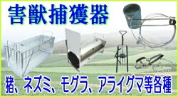Ls1000‼️激レア‼️黒柿の裁縫箱　レトロ❗ 裁縫箱レトロ昭和小学生独楽・けん玉のデザイン80s (kuro shiro