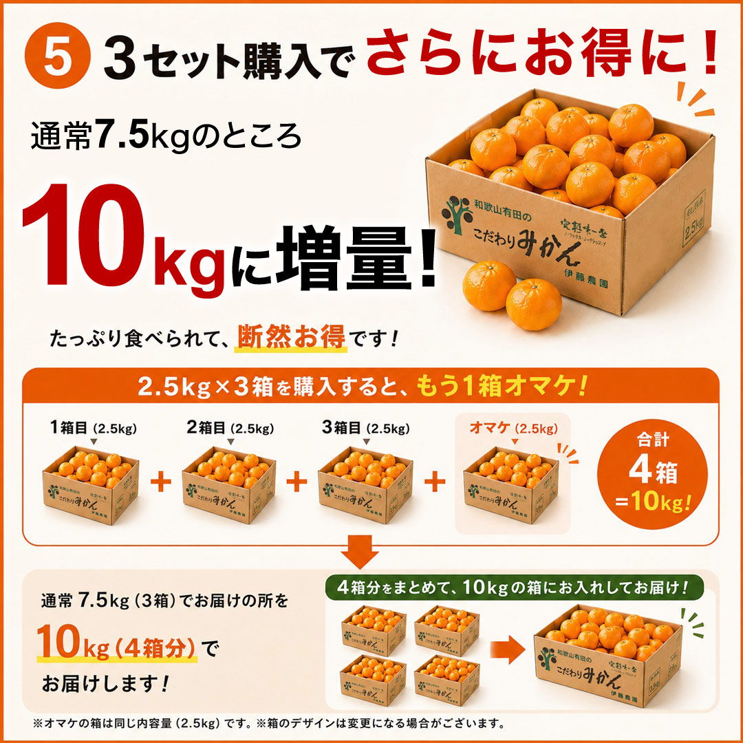 伊藤農園 みかん 訳ありみかん 小粒 大粒 2.5kg 5kg 送料無料 3箱買う