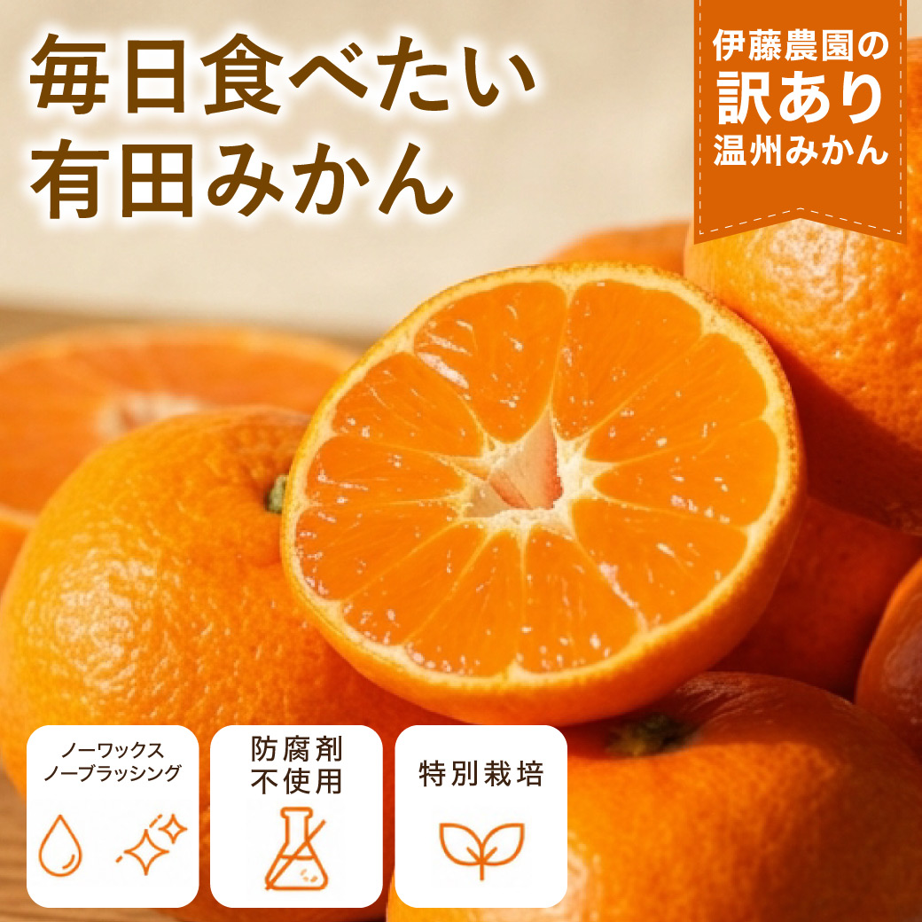 伊藤農園 みかん 訳ありみかん 5kg フードロス 小粒 粒 ミックス