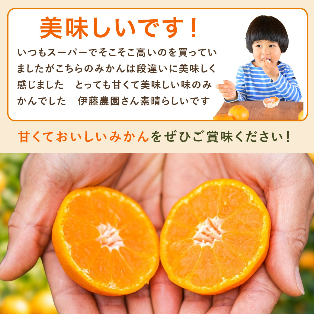 伊藤農園 みかん 訳ありみかん 小粒 大粒 2.5kg 5kg 送料無料 3箱買う