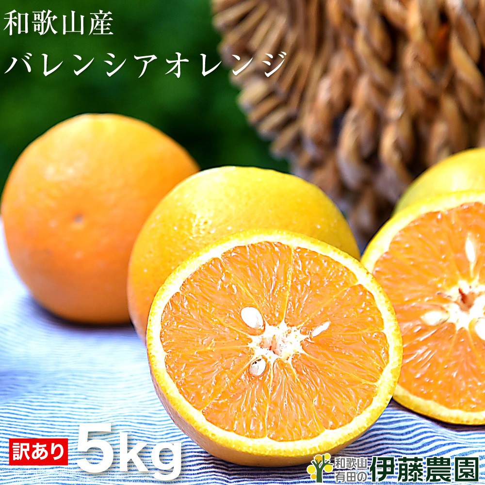 フルーツ バレンシアオレンジ 訳あり 5kg 和歌山産 オレンジ 旬 みかん 自宅用 送料無料 箱詰め 箱買い お中元 3 3 伊藤農園 ジュースと果実 Yahoo 店 通販 Yahoo ショッピング