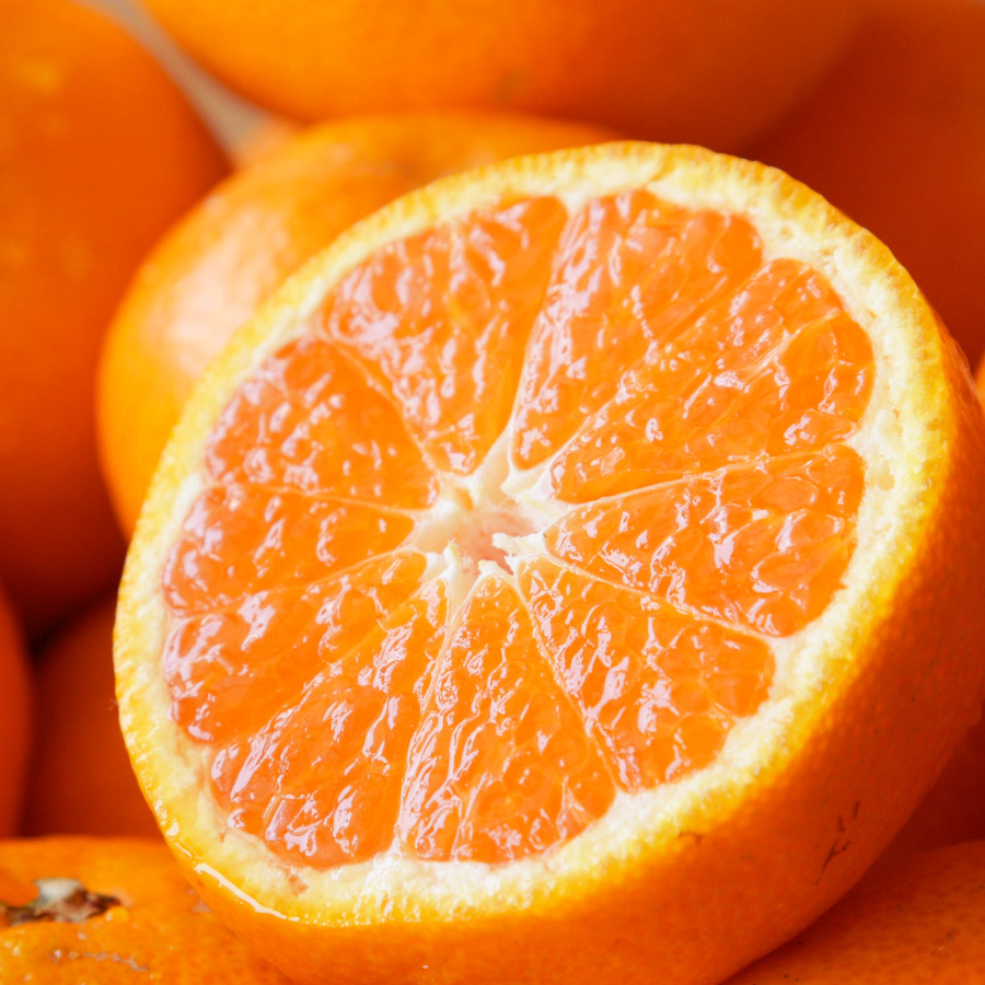 みかん2 みかん2 ZX 2K BOOST 2.0／サッカーショップKAMO