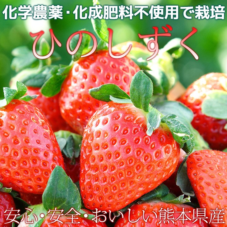 化学農薬不使用 化学肥料不使用 有機肥料で栽培したいちご