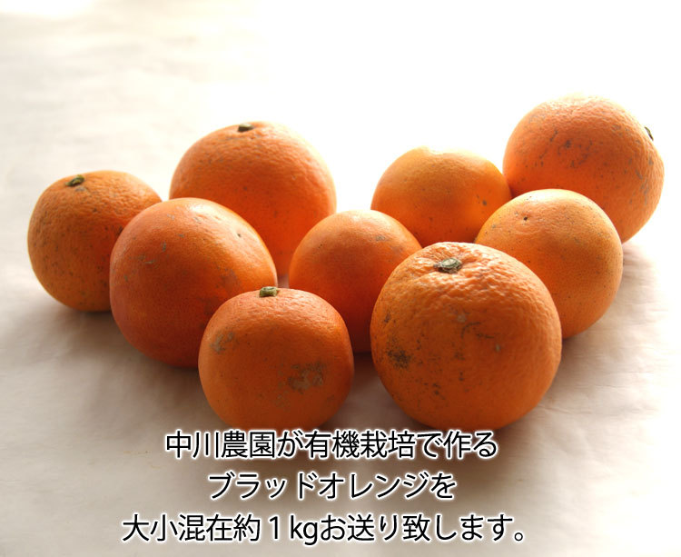 愛媛県産　ブラッドオレンジ　タロッコ　10キロ 中玉 中川農園の有機ブラッドオレンジ 有機栽培 愛媛県産 混在約1kg