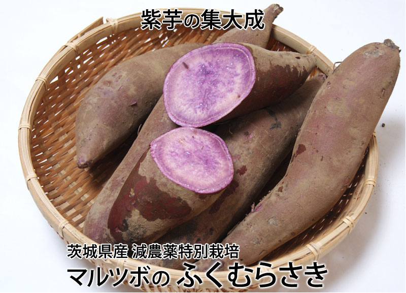 紫芋の集大成ふくむらさき