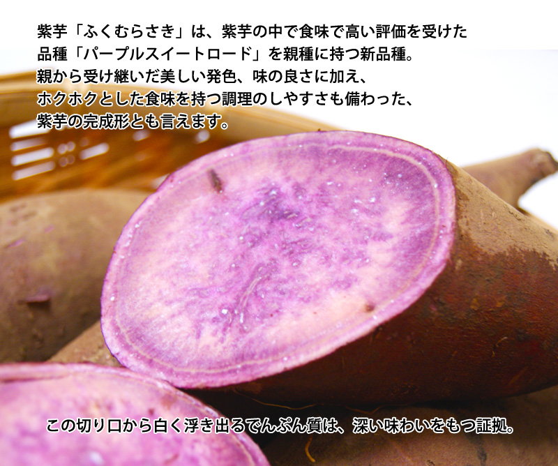紫芋 マルツボの ふくむらさき 減農薬 特別栽培 茨城県産 大小混在 約