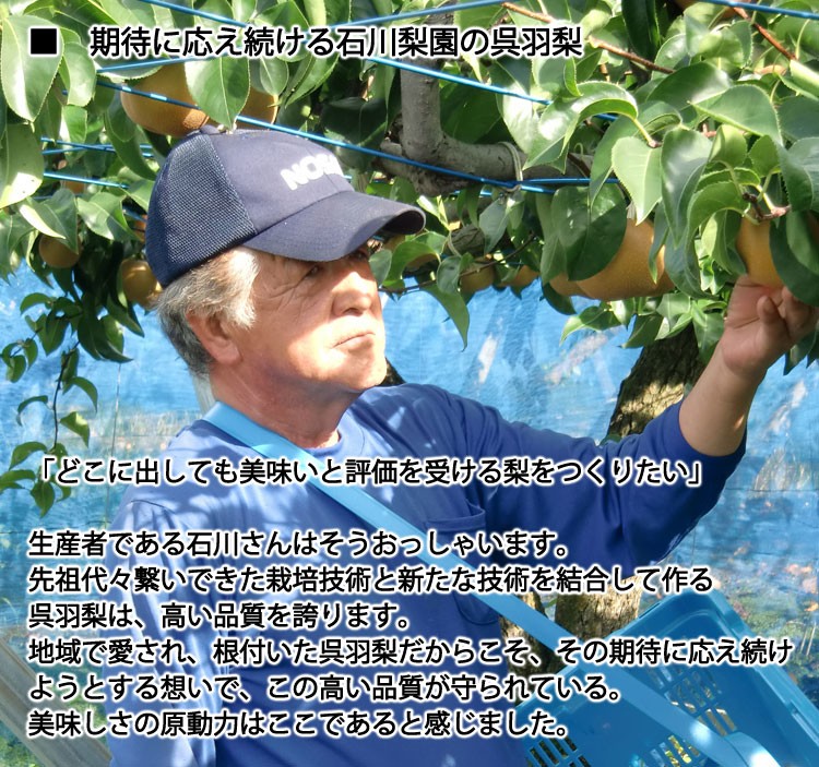 【予約販売】石川梨園の 呉羽梨 富山県産 大玉以上６〜１４玉 約５kg 赤秀品 ＊常温便 ＊送料込