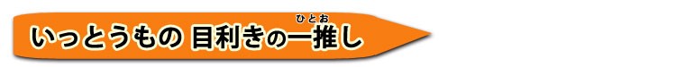 いっとうもの目利きの一推し