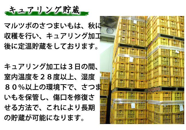 マルツボのさつまいもはキュアリング加工されています