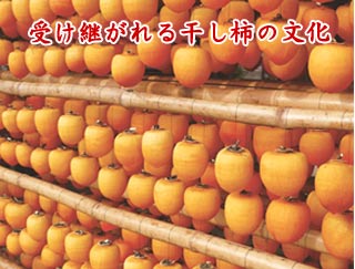 野口集落の干し柿