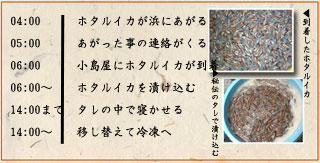 ホタルイカとともに生きる小島屋