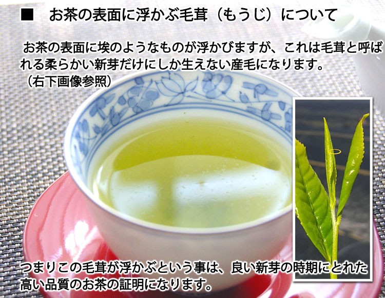 2023年産新茶無農薬無化学肥料栽培茶「芽茶」 1袋 約４００g ＊ゆうパケット便送料込 緑茶、日本茶