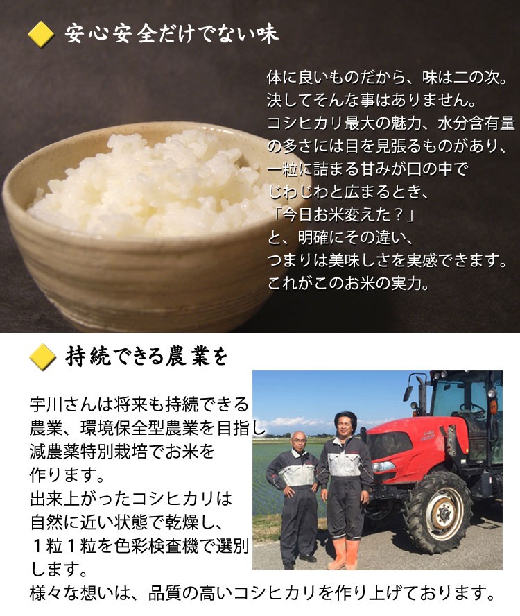 コシヒカリ 令和7年産米 減農薬特別栽培米 宇川さんの 玄米 5kg×2袋