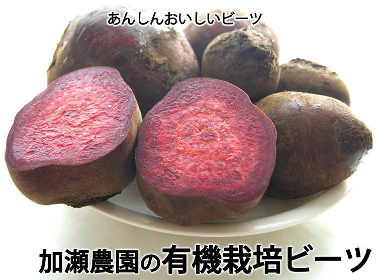 マジックタイム スライス 236g beets beterraba magic sliced time アメリカ産 ビーツ ビート 内容総量425g  赤かぶ 長期保存 チープ ビーツ