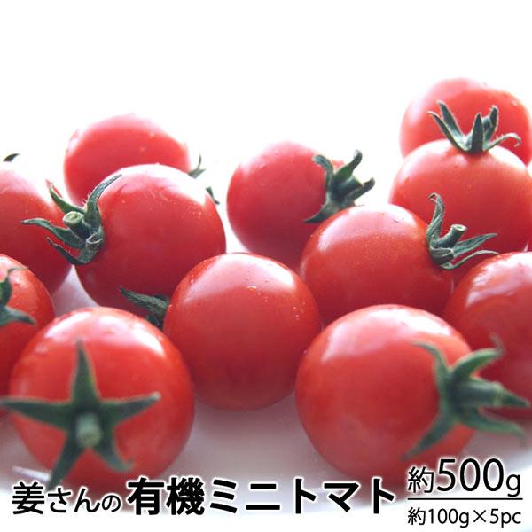 姜さんの「有機ミニトマト」 有機栽培 長野県産 約５００g（約１００g×５パック入）＊冷蔵便　＊送料込
