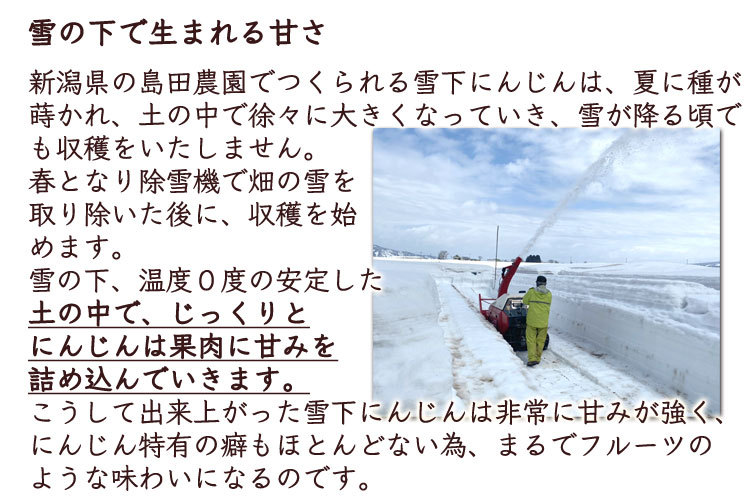 最大70%OFFクーポン 訳あり 春 にんじん ニンジン 人参 《自社栽培の野菜を産地直送》栄養価10％UP 千葉県産 厳選された有機質肥料を 使って栄養価 約10kg