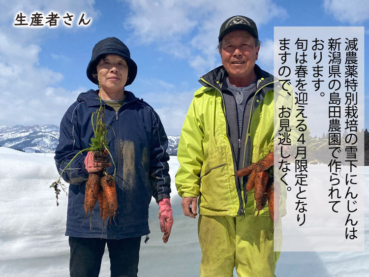 最大70%OFFクーポン 訳あり 春 にんじん ニンジン 人参 《自社栽培の野菜を産地直送》栄養価10％UP 千葉県産 厳選された有機質肥料を 使って栄養価 約10kg