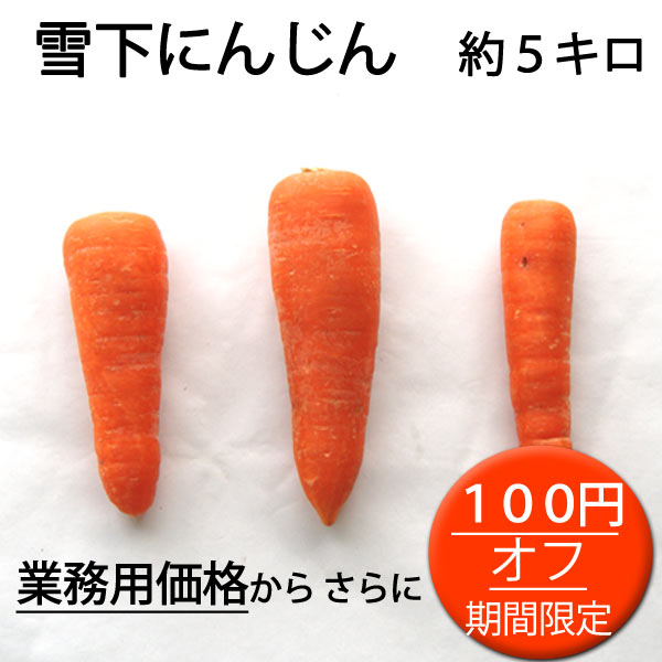 いっとうものの「雪下にんじん業務用価格からさらに１００円オフクーポン」のクーポン