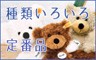 シュタイフ　テディベア　定番