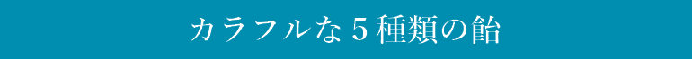 5種類