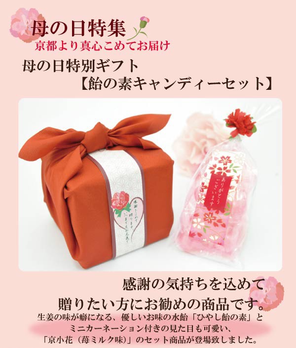 【送料無料】 ～ 愛を贈りたいから ～   母の日プレゼントVer. 母の日のプレゼント 母の日 2025 ギフト プチギフト 飴の素