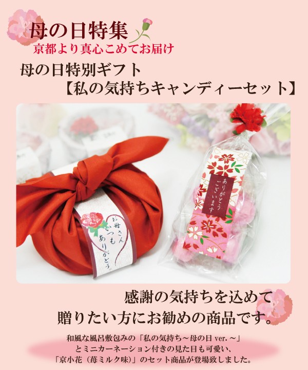 私の気持ちカーネーションキャンディーセット