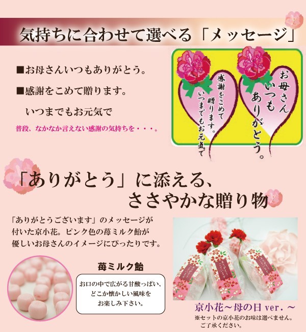 キャンディキャンディ　新装丁ピンク　美品セット 母の日ギフト 私の気持ちカーネーションキャンディーセット(送料無料