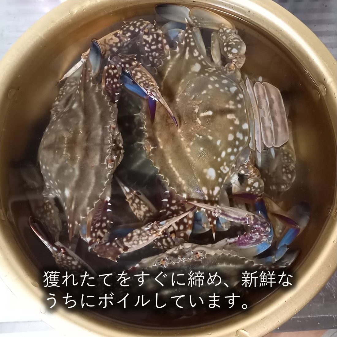 三陸産ワタリガニ 4kg [12杯〜24杯] 無選別 ボイル済み すぐに食べられる 冷凍 ケジャンやチゲ、鍋にも大人気の商品