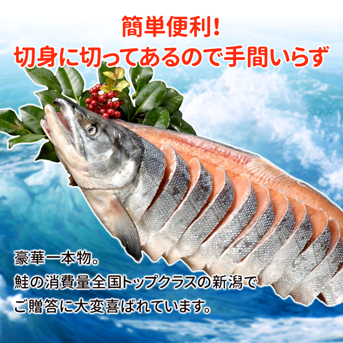 安い 送料無料 北海道 鮭 切り身 北の匠 利き鮭セット 北海道産 めじか 雄宝 山漬 時鮭 銀聖 ギフト 鮭 ギフト 鮭 さけ 切身 個包装 魚 Seal限定商品 Www Iacymperu Org