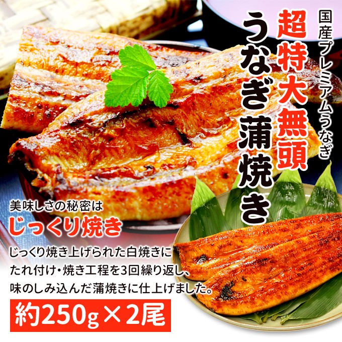 国内産うなぎ 帯画像