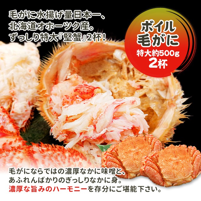 毛がに 特大 約500g 2杯 ボイル 毛ガニ 北海道 国産 送料無料 1kg 年末